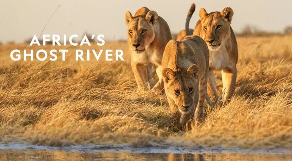 Africa's Ghost River