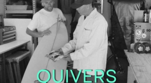 Quivers