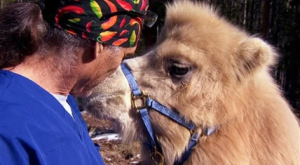 Dr. Jeff, veterinario | Misión en Dakota del Sur