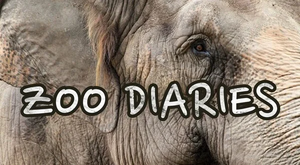 Zoo Diaries