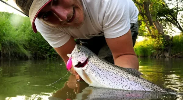 Topwater auf Forelle