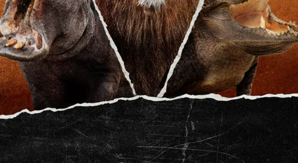 Killer Safari