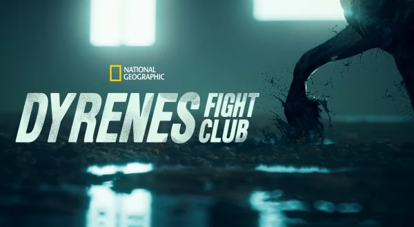 Dyrenes Fight Club