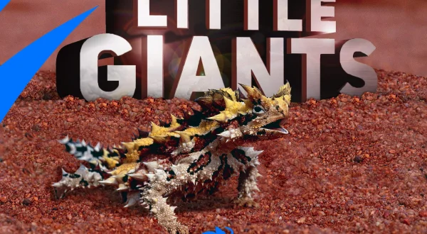 Little Giants