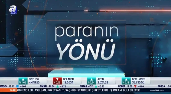 Paranın Yönü