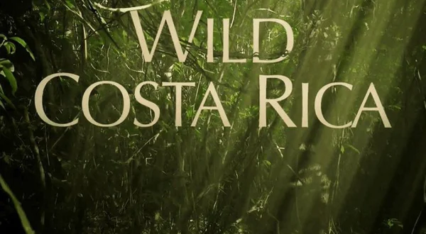 Wild Costa Rica