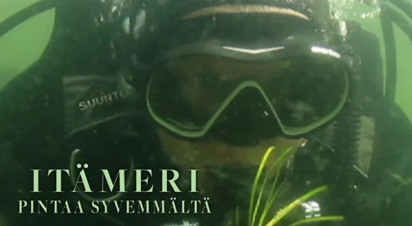 Itämeri pintaa syvemmältä