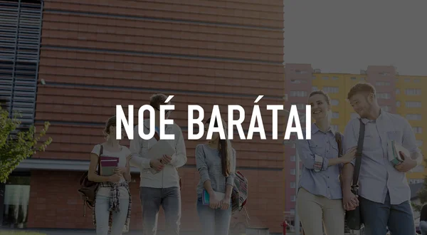 Noé barátai