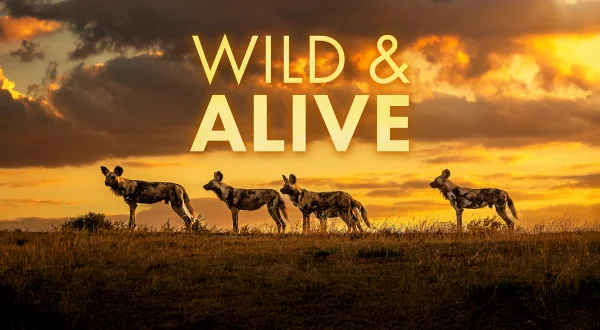 Ζωντανοί στην Άγρια Φύση | Wild And Alive