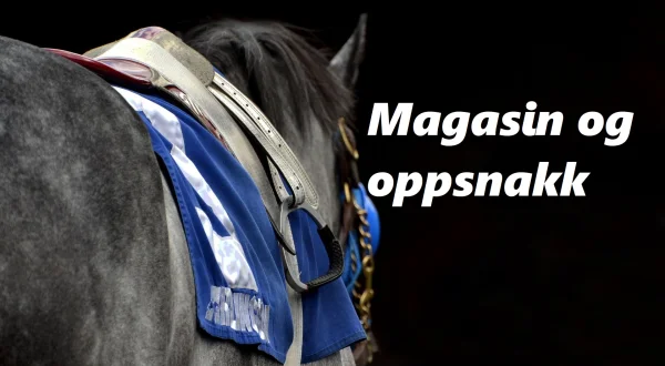 Magasin og oppsnakk
