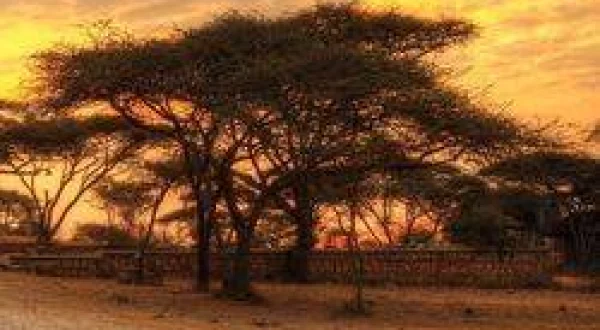 Eco Africa: The Environment Magazine