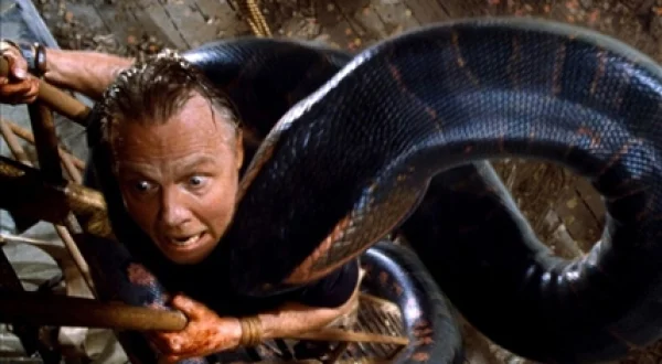 Anaconda