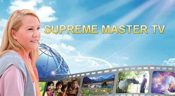 Supreme Master TV