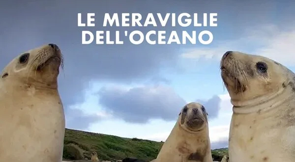 Le meraviglie dell'oceano