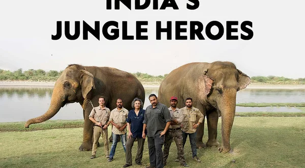 India's Jungle Heroes