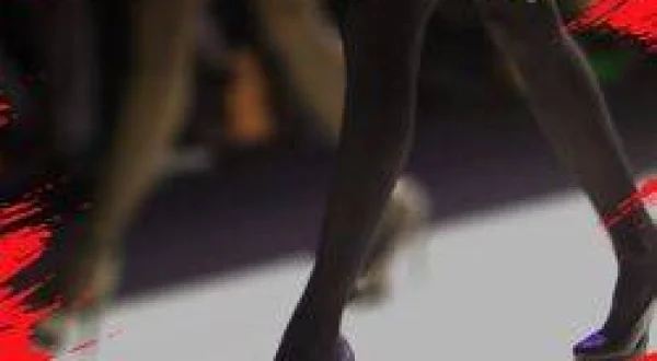 Fashion