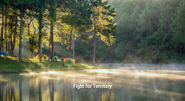 Fight for Territory