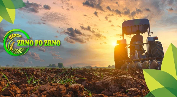Zrno po zrno