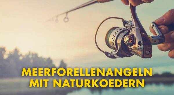 Meerforellenangeln mit Naturkoedern