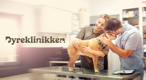 Dyreklinikken