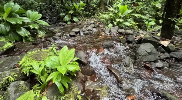 Au fil de l'eau