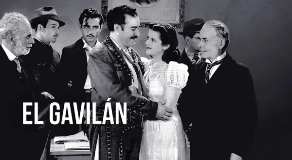 El gavilán