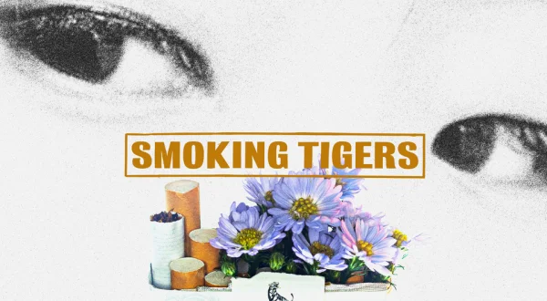Smoking Tigers