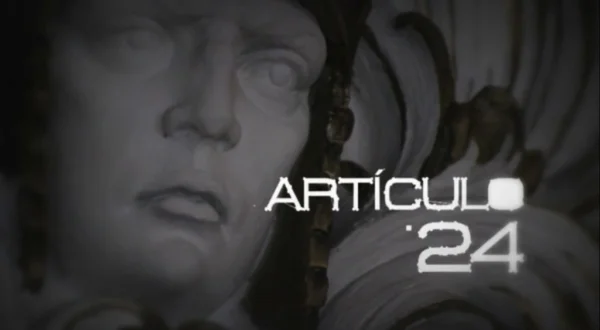 Artículo 24