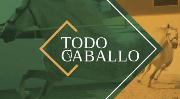 Todo caballo