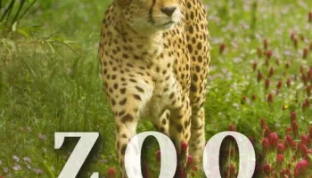 Zoo : le défi de demain