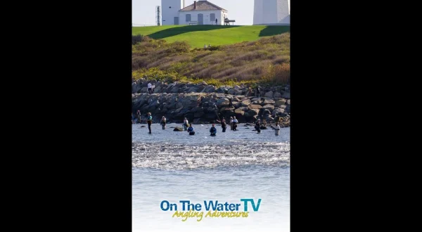 On the Water TV