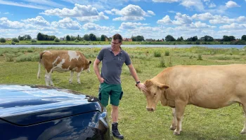 Zwischen Kühen und Super-Schwader