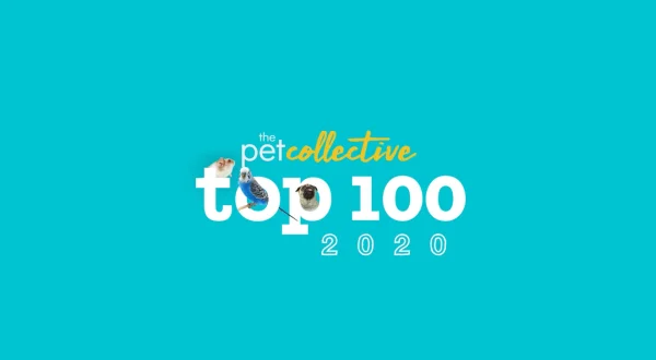 TPC Top 100 of 2020