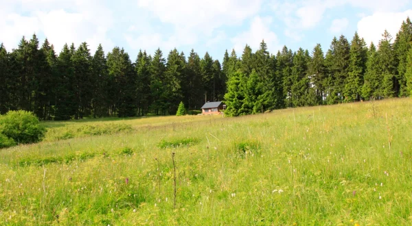 Der schönste Sommer meiner Kindheit