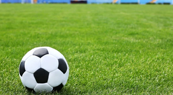Mali fudbal: Arenina Liga Šampiona: Novi Beograd