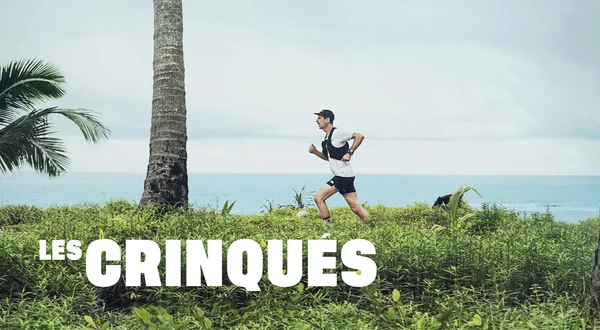 Les crinqués