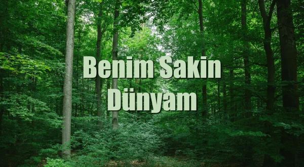 Benim Sakin Dünyam