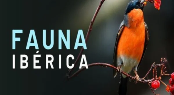 Fauna Ibérica