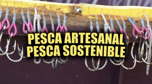 Pesca artesanal, pesca sostenible