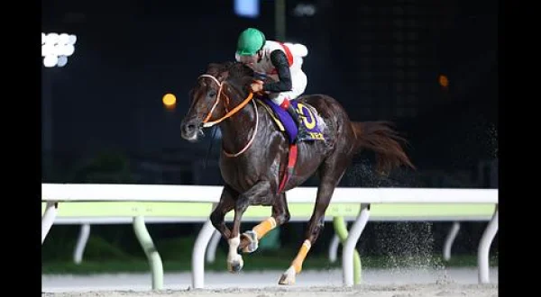 グリーンチャンネル地方競馬中継（東京記念・大井）