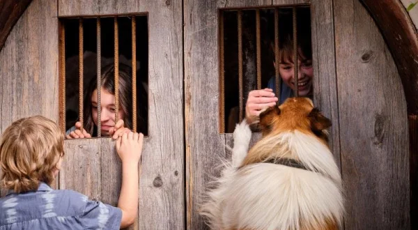 Lassie: Nové dobrodružství