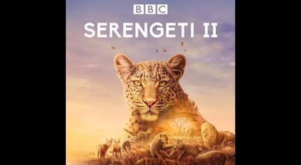 記念SP】BBC超大作 セレンゲティ物語：災害による変化（二）