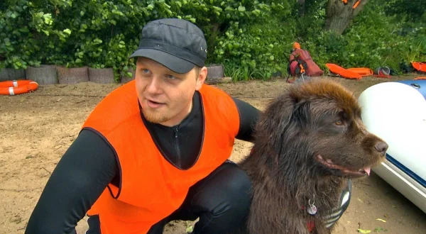 Sporhunde, vildsvin og co.