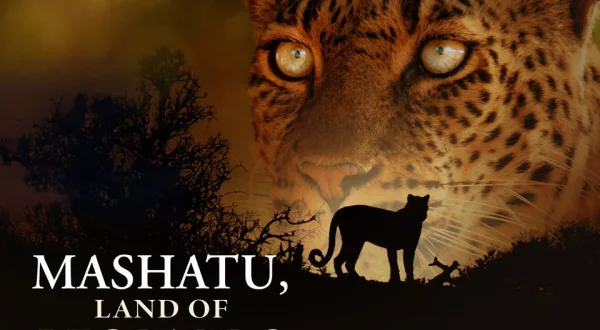 Mashatu: Land of Leopard