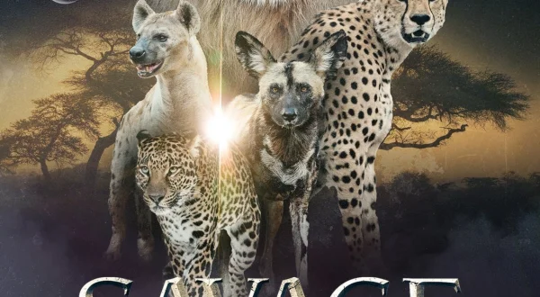 Savage Kingdom