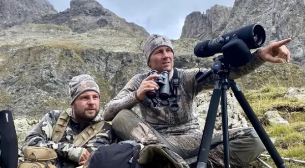 Derniers mouflons des Alpes ?