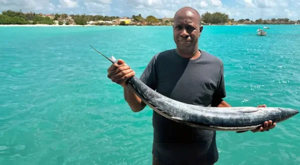 Clive Myrie's African Adventure