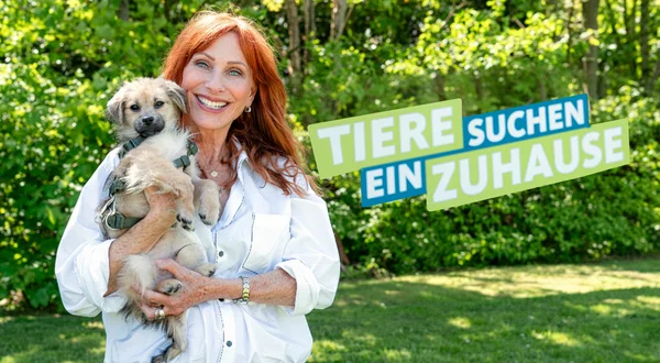 Tiere suchen ein Zuhause