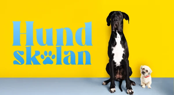 Hundskolan