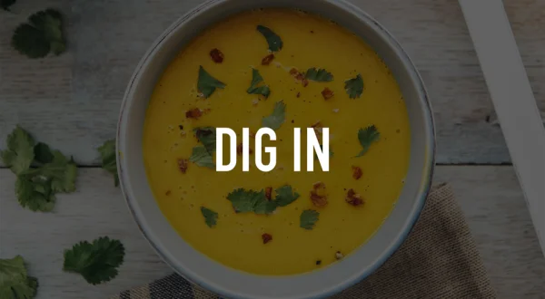 Dig In